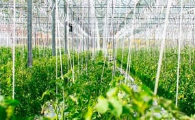 Re-Nuble uses Sync Cloud Storage